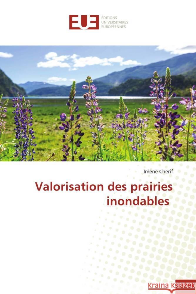 Valorisation des prairies inondables Imene Cherif 9786206723028 Editions Universitaires Europeennes - książka