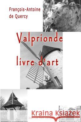 Valprionde, livre d'art De Quercy, Francois-Antoine 9782365415569 Petit (Jean-Luc) - książka