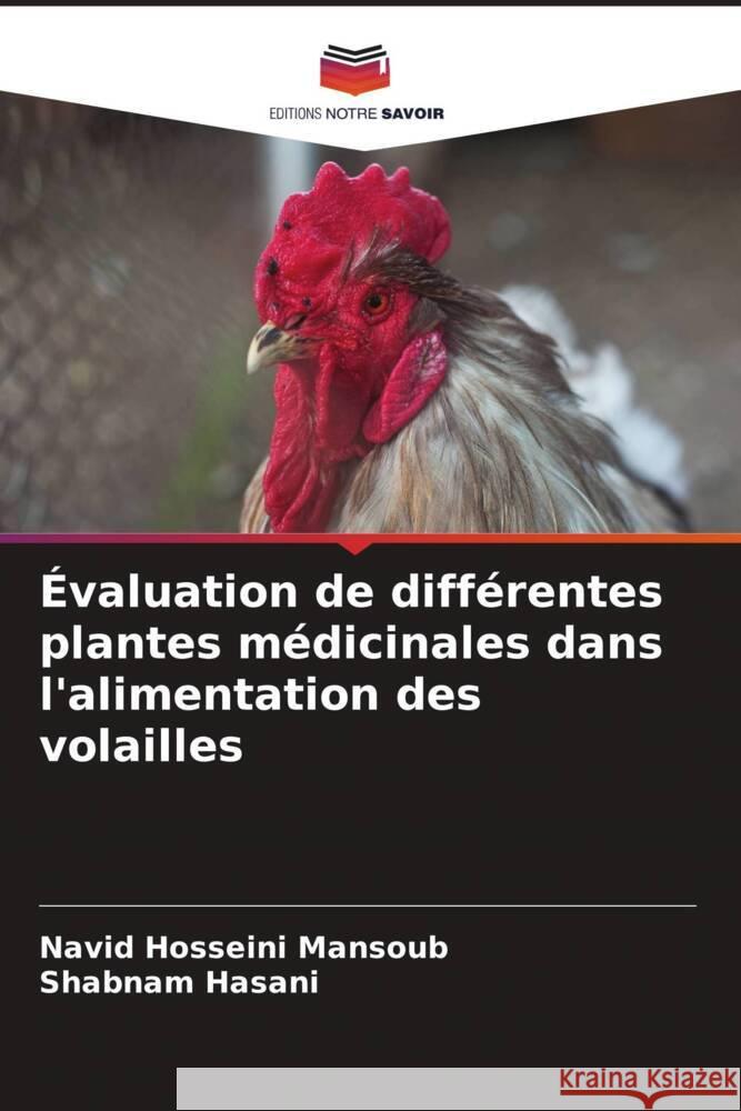 Évaluation de différentes plantes médicinales dans l'alimentation des volailles Hosseini Mansoub, Navid, Hasani, Shabnam 9786208090746 Editions Notre Savoir - książka