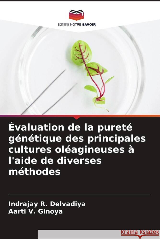 Évaluation de la pureté génétique des principales cultures oléagineuses à l'aide de diverses méthodes Delvadiya, Indrajay R., Ginoya, Aarti V. 9786204590837 Editions Notre Savoir - książka