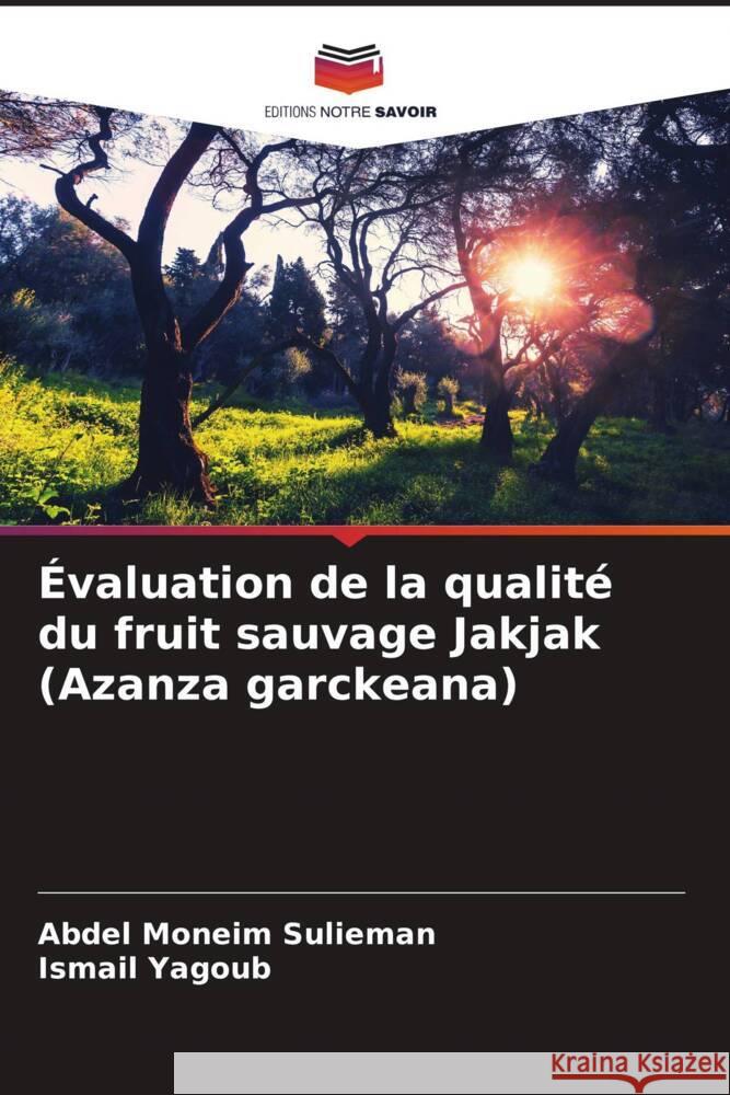 Évaluation de la qualité du fruit sauvage Jakjak (Azanza garckeana) Sulieman, Abdel Moneim, Yagoub, Ismail 9786206942658 Editions Notre Savoir - książka