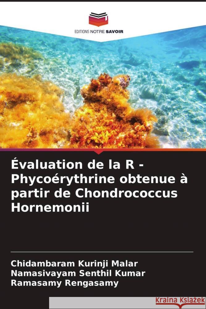 Évaluation de la R - Phycoérythrine obtenue à partir de Chondrococcus Hornemonii Kurinji Malar, Chidambaram, Senthil Kumar, Namasivayam, Rengasamy, Ramasamy 9786208567507 Editions Notre Savoir - książka