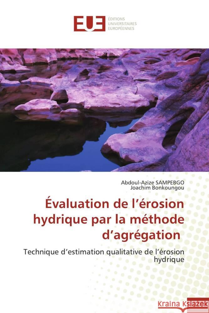 ?valuation de l'?rosion hydrique par la m?thode d'agr?gation Abdoul-Azize Sampebgo Joachim Bonkoungou 9786206723943 Editions Universitaires Europeennes - książka
