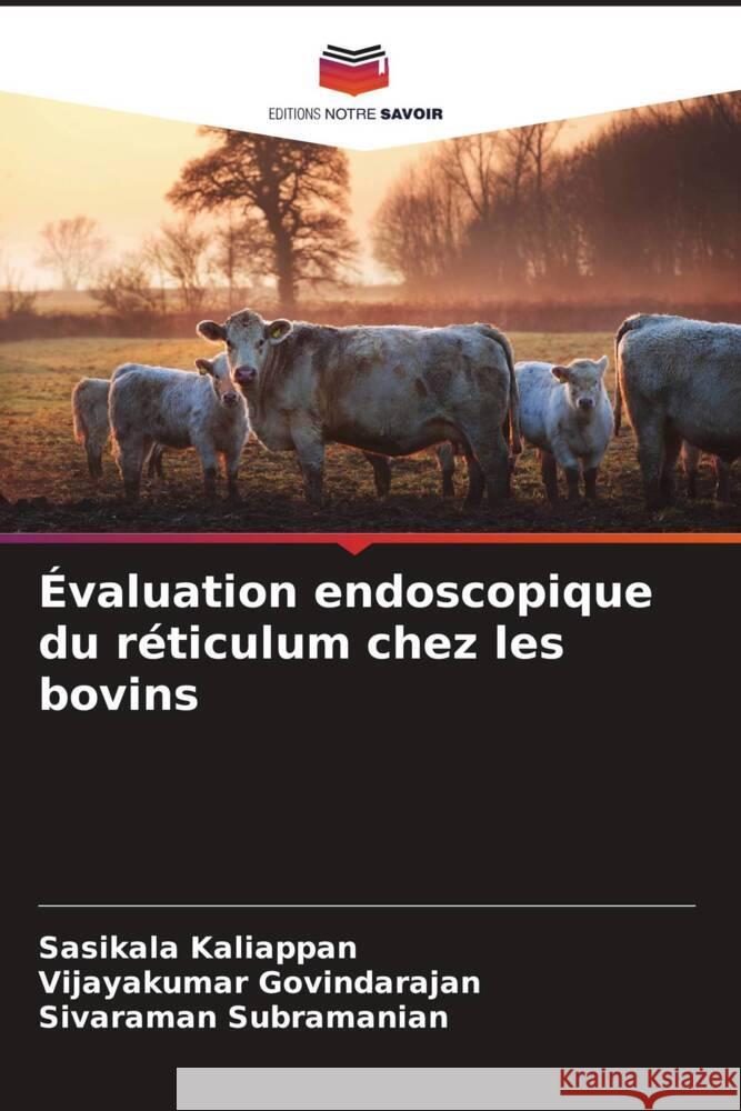 Évaluation endoscopique du réticulum chez les bovins Kaliappan, Sasikala, Govindarajan, Vijayakumar, Subramanian, Sivaraman 9786205166321 Editions Notre Savoir - książka