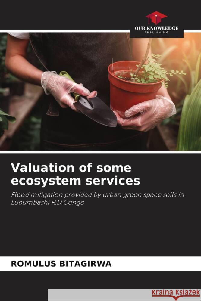 Valuation of some ecosystem services BITAGIRWA, ROMULUS 9786206401087 Our Knowledge Publishing - książka