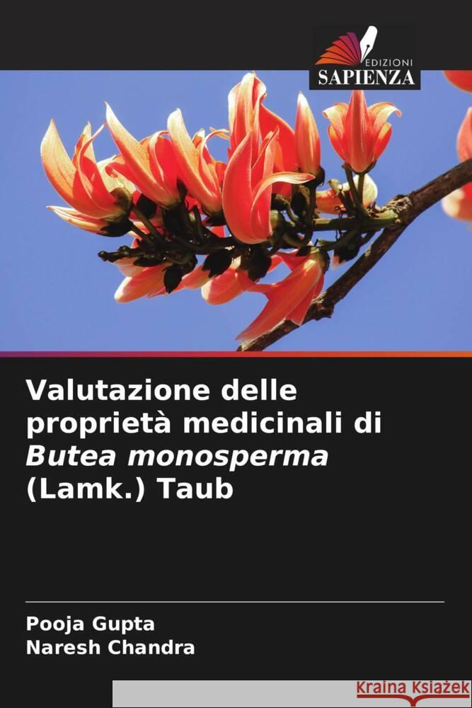 Valutazione delle propriet? medicinali di Butea monosperma (Lamk.) Taub Pooja Gupta Naresh Chandra 9786208278175 Edizioni Sapienza - książka