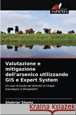 Valutazione e mitigazione dell'arsenico utilizzando GIS e Expert System Shahriar Shams 9786202827775 Edizioni Sapienza - książka