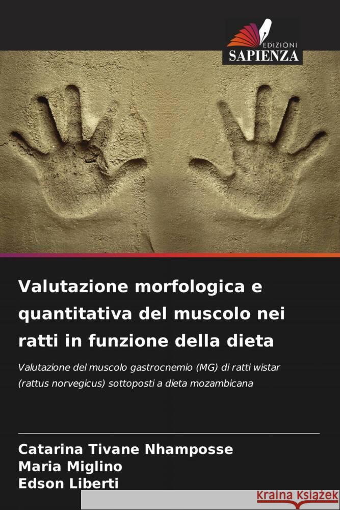 Valutazione morfologica e quantitativa del muscolo nei ratti in funzione della dieta Nhamposse, Catarina Tivane, Miglino, Maria, Liberti, Edson 9786208644321 Edizioni Sapienza - książka