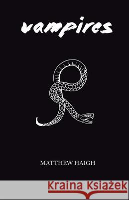 Vampires Matthew Haigh 9781913268213 Bad Betty Press - książka