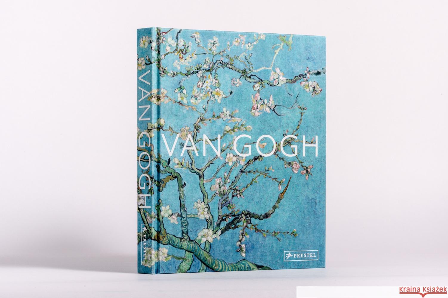 Van Gogh Sefrioui, Anne 9783791377582 Prestel - książka