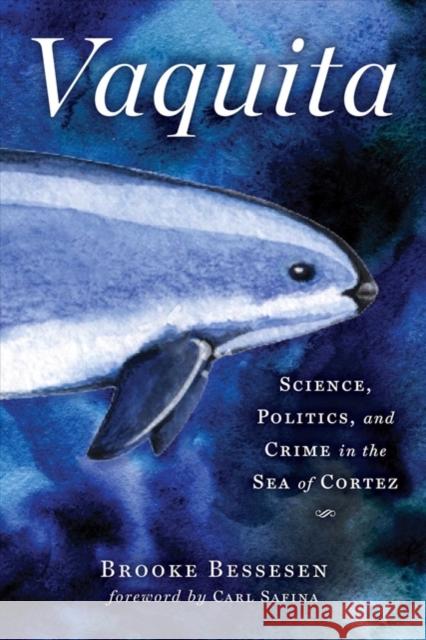 Vaquita: Science, Politics, and Crime in the Sea of Cortez Brooke Bessesen 9781610919319 Island Press - książka