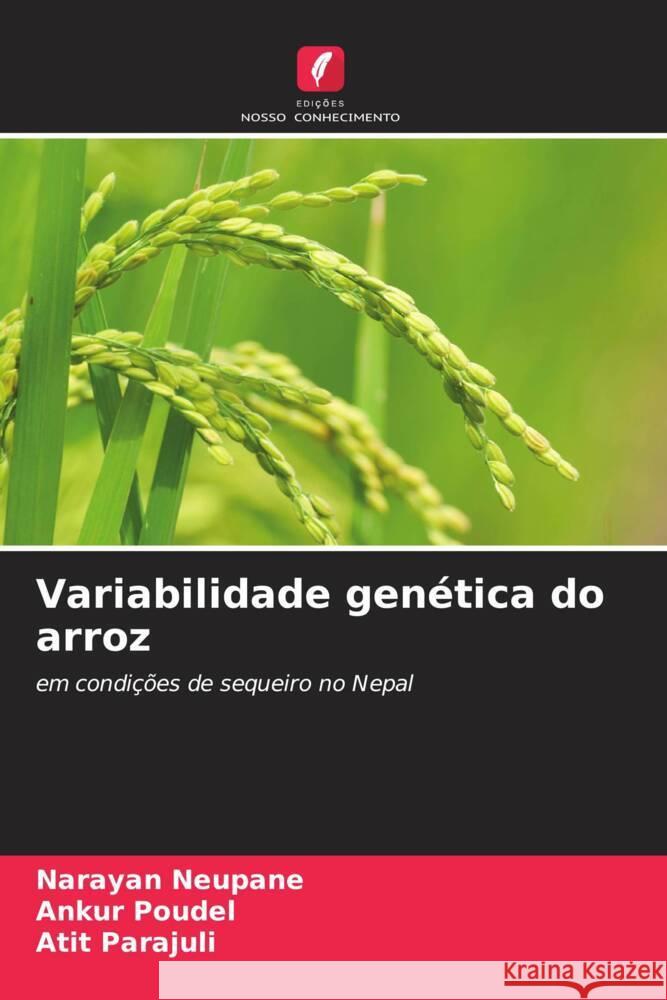 Variabilidade genética do arroz Neupane, Narayan, Poudel, Ankur, Parajuli, Atit 9786206450061 Edições Nosso Conhecimento - książka