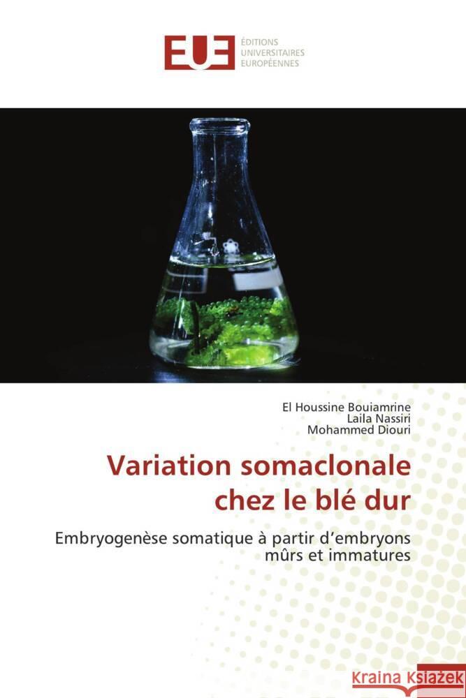 Variation somaclonale chez le blé dur Bouiamrine, El Houssine, Nassiri, Laila, Diouri, Mohammed 9786203458442 Éditions universitaires européennes - książka