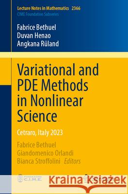 Variational and PDE Methods in Nonlinear Science: Cetraro, Italy 2023 Fabrice Bethuel, Duvan Henao, Angkana Rüland 9783031872013 Springer International Publishing AG - książka