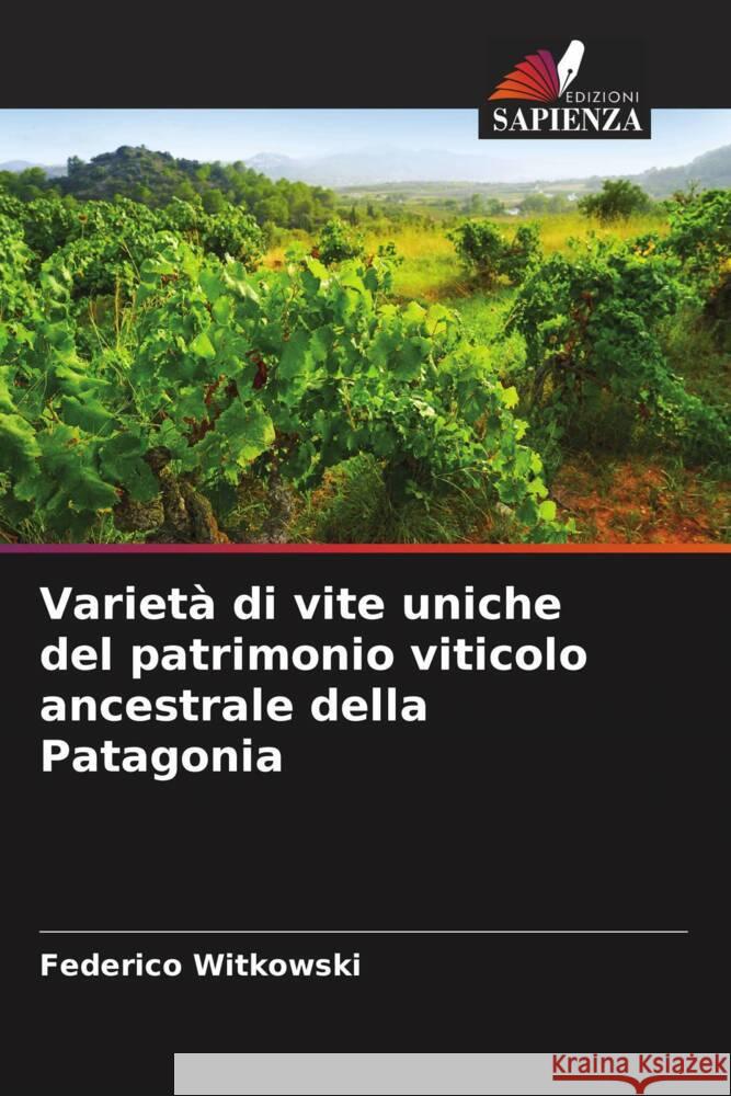 Varietà di vite uniche del patrimonio viticolo ancestrale della Patagonia Witkowski, Federico 9786206382577 Edizioni Sapienza - książka