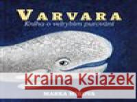 Varvara Miro Pogran 8595693406915 Tympanum - książka