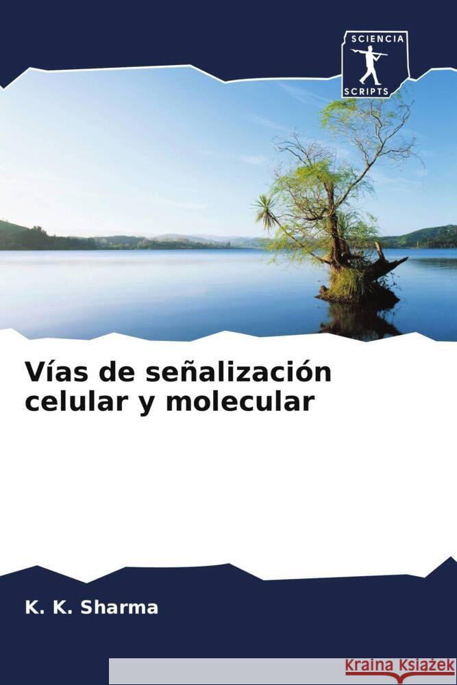 V?as de se?alizaci?n celular y molecular K. K. Sharma Ritu Gupta 9786205200131 Sciencia Scripts - książka