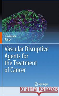 Vascular Disruptive Agents for the Treatment of Cancer Tim Meyer 9781441966087 Not Avail - książka