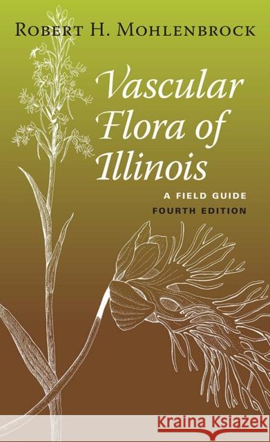 Vascular Flora of Illinois: A Field Guide Mohlenbrock, Robert H. 9780809332083 Southern Illinois University Press - książka