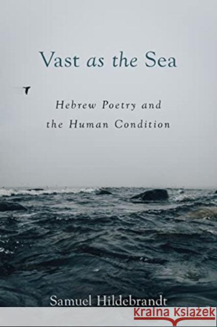 Vast as the Sea: Hebrew Poetry and the Human Condition Samuel Hildebrandt 9781506485492 Augsburg Fortress Publishers - książka