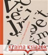 Věci, které jsem nevyhodil Marcin Wicha 9788025731796 Argo - książka