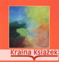 Václav Malina - Pastely II Václav Malina 9788087289464 Galerie města Plzně - książka