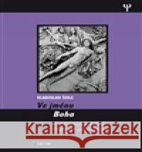 Ve jménu Boha Vladislav Å olc 9788073876340 Triton - książka