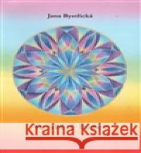 Ve světě barev Jana Bystřická 9788087600139 František Spurný, Apex Art - książka