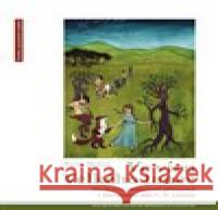 Ve víru Velkého tance Pavel Hošek 9788073255749 Centrum pro studium demokracie a kultury - książka