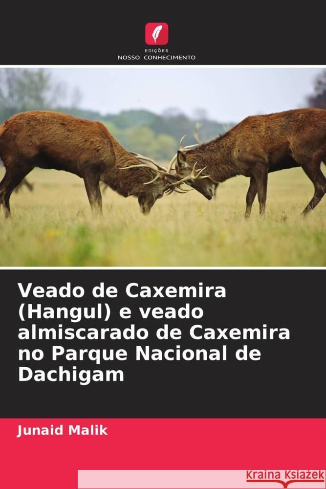 Veado de Caxemira (Hangul) e veado almiscarado de Caxemira no Parque Nacional de Dachigam Junaid Malik 9786208047283 Edicoes Nosso Conhecimento - książka