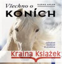 Všechno o koních Ulrike Amlerová 9788075413505 Vašut - książka