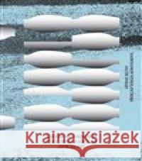 Všechno udělat správně Gregor Sander 9788074434884 Větrné mlýny - książka