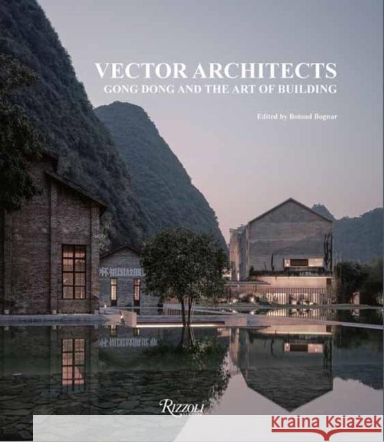 Vector Architects: Gong Dong and the Art of Building Gong Dong Vector Architects Botond Bognar 9780847835744 Rizzoli International Publications - książka