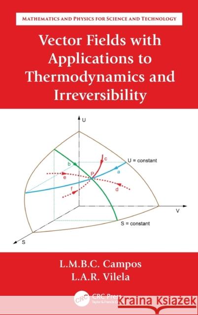 Vector Fields with Applications to Thermodynamics and Irreversibility Luis Manuel Brag Lu 9781032029870 CRC Press - książka