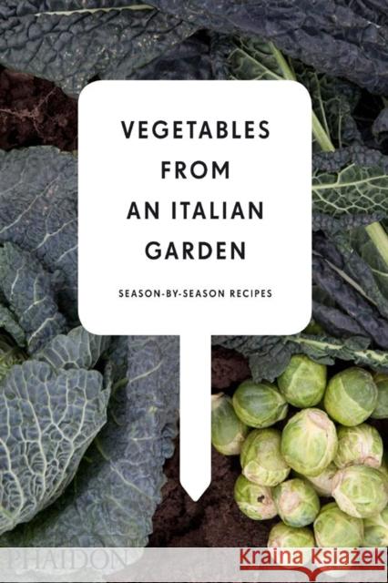 Vegetables from an Italian Garden: Season-by-Season Recipes Charlie Nardozzi 9780714860800 Phaidon Press Ltd - książka