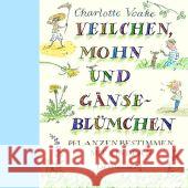 Veilchen, Mohn und Gänseblümchen : Pflanzen bestimmen mit Kindern Voake, Charlotte Petty, Kate  9783836951067 Gerstenberg (Gebrüder) - książka