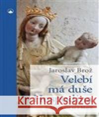 Velebí má duše Hospodina - Modleme se s Marií Jaroslav Brož 9788075661029 Karmelitánské nakladatelství - książka