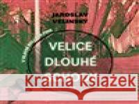 Velice dlouhé schody Jaroslav Velinský 8595693410806 Tympanum - książka