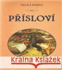 Velká kniha přísloví Adéla Müllerová 9788074280337 Plot - książka