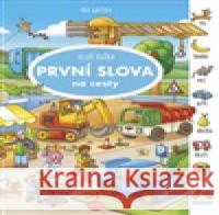 Velká knížka - První slova na cesty Max Walther 9788076772953 Ella & Max - książka