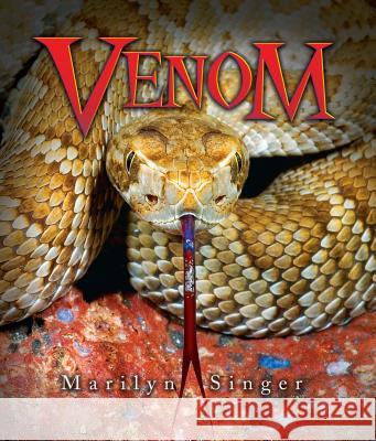 Venom Marilyn Singer 9781467749091 Millbrook Press - książka