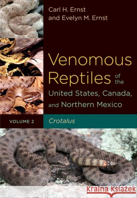 Venomous Reptiles of the United States, Canada, and Northern Mexico: Crotalus Ernst, Carl H. 9780801898761 Johns Hopkins University Press - książka