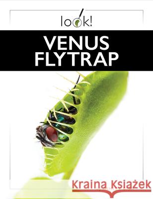 Venus Flytrap Ashley Gish 9781682777558 Creative Paperbacks - książka