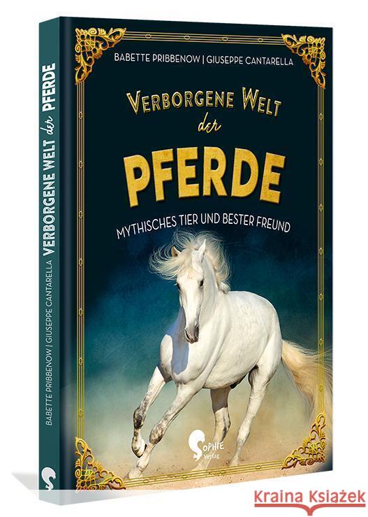 Verborgene Welt der Pferde Pribbenow, Babette 9783968080185 Sophie Verlag - książka