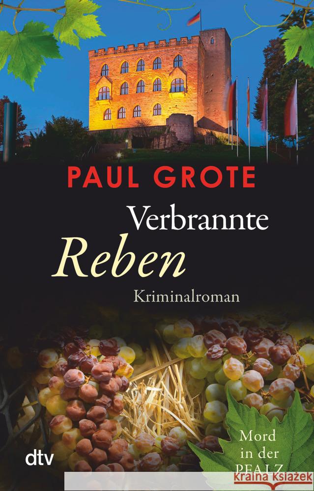 Verbrannte Reben Grote, Paul 9783423220934 DTV - książka