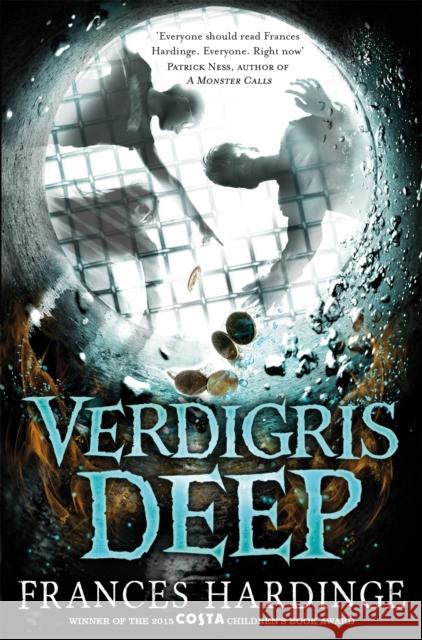 Verdigris Deep Frances Hardinge 9781509818747 Pan Macmillan - książka