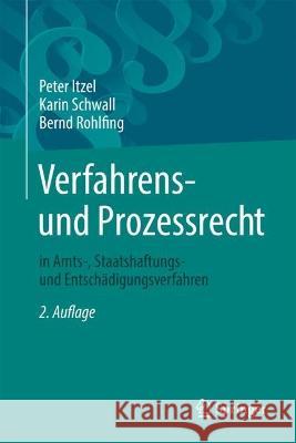 Verfahrens- Und Prozessrecht in Amts-, Staatshaftungs- Und Entschädigungsverfahren Itzel, Peter 9783662666319 Springer - książka