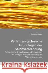 Verfahrenstechnische Grundlagen der Strohverbrennung : Theoretische Betrachtung und Simulation für Anlagen mittlerer Leistung zur Wärmegewinnung Brauer, Sebastian 9783639210576 VDM Verlag Dr. Müller - książka
