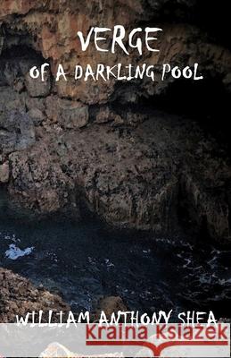 Verge of a Darkling Pool William Anthony Shea 9798592020933 Independently Published - książka