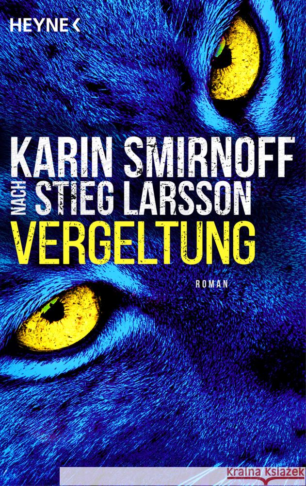Vergeltung Smirnoff, Karin 9783453443112 Heyne - książka